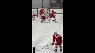 Red Wings prospect Elmer Söderblom dekes and scores in training camp.