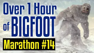 Bigfoot Ultra Marathon #14 - Over One Hour of Bigfoot Encounters