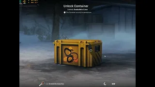 CASE OPENING! Lucky or Unlucky?