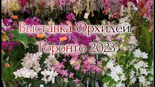 Выставка орхидей Торонто 2023 Часть 1