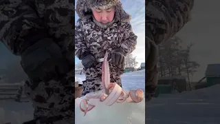 Cooking stroganina🐟 on the street is very warm -40 C❄️ Sakha Yakutia