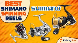 8 Best Shimano Spinning Reels