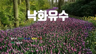 [은성 반주기] 낙화유수 - 남인수