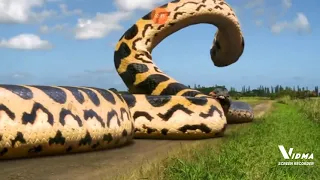 if the snakes could talk in Piranhaconda