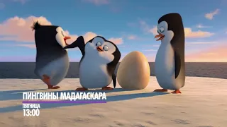 "Пингвины Мадагаскара" сегодня на НТК!