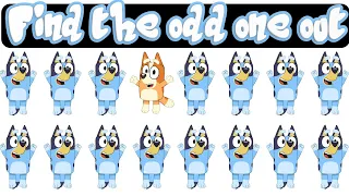 🔵BLUEY FIND THE ODD ONE OUT | Iq test Brain Break for kids | Just Dance and workout