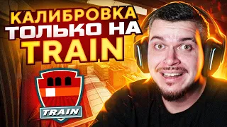 ЧТО ЕСЛИ ПРОЙТИ КАЛИБРОВКУ ТОЛЬКО НА TRAIN В НАПАРНИКАХ CS:GO