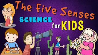 Five Senses (sight, hearing, touch, smell and taste) | Science for Kids