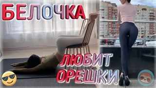 тик ток головного мозга | Лучшие Приколы 2020 Декабрь | Чудики | Прикольчики | Tik Tok Приколы #14