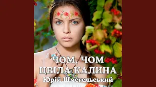 Чом, чом цвіла калина