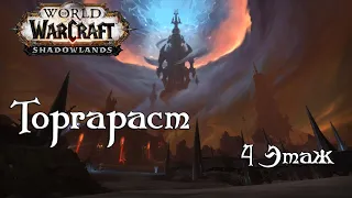 World of Warcraft Shadowlands|Торгаст 4 Этаж|Путь рыцаря|Часть 15|