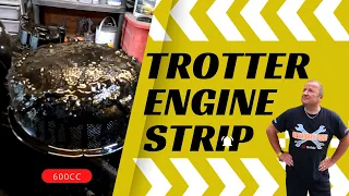 Stripping The Trotter Van 600cc Engine (Reliant Regal)