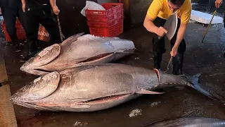 400 kg Bluefin Tuna Superb and Fabulous Cutting Skills 400公斤黑鮪魚完美快速切割