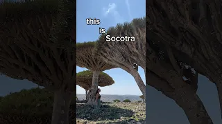 SOCOTRA: the most beautiful place in the world #traveler #socotra #yemen #worldtravel #nature