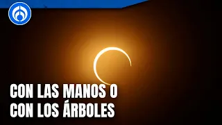 Eclipse solar 2024: Las formas más seguras para ver el eclipse sin filtros