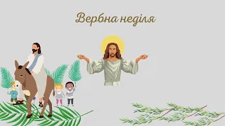 Цікавинки про вербу для дітей 🌿🌿🌿