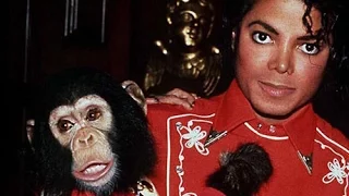 6 фактов о Майкле Джексоне