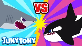 Great White Shark vs. Orca | Animal Songs for Kids | Sea Animals | Versus Song | JunyTony