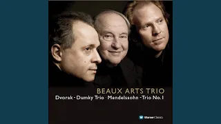 Piano Trio No. 1 in D Minor, Op. 49, MWV Q29: II. Andante con moto tranquillo