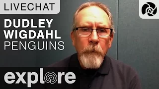 Magellanic Penguins with Dudley Wigdahl - Live Chat