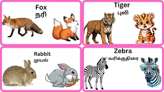 Animal names | wild Animals | learn animal names in tamil and English