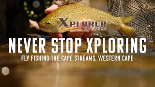 NEVER STOP XPLORING- Cape Streams 2021