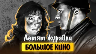 Летят журавли. История о войне, любви и предательстве. Как снимался фильм