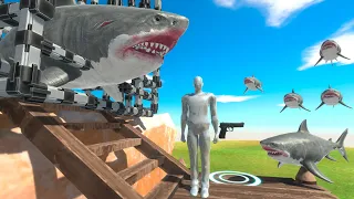 Help Megalodon Rescue Baby Megalodon - Animal Revolt Battle Simulator