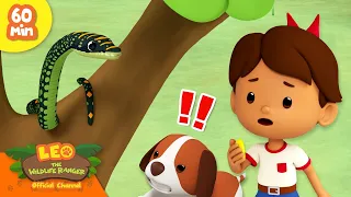 SLITHERING SERPENTS! 🐍 Snakes, Chameleon & more! ✨ | Leo the Wildlife Ranger | Kids Cartoons