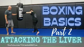 Boxing Basics : Attacking the Liver Part 2