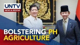 PH, Brunei signs deals on maritime, tourism, agriculture