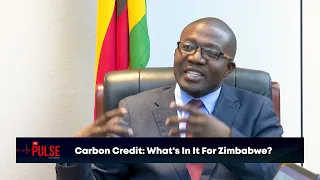 The Pulse | Carbon Credit: What's In It For Zimbabwe