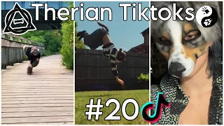 Therian Tiktoks #20