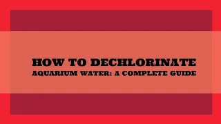 How to Dechlorinate Aquarium Water: A Complete Guide #aquarium #viralvideo #tranding #blackwater