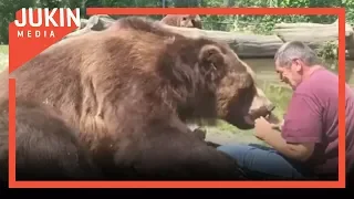 Guy Cuddles With Giant Kodiak Bear