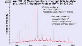 IBIS 2009 : 01 : Mass Spectrometry