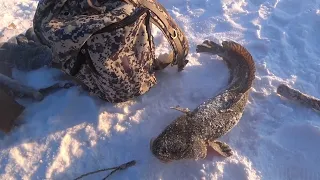 Проверка перемёта на Рождество!