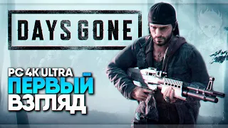 Days Gone ПК прохождение на русском и обзор [4K ULTRA] 🅥 Жизнь после Первый взгляд