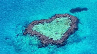 Большой Барьерный Риф, Австралия. Вид с вертолета. Great Barrier Reef  الحاجز المرجاني العظيم  大堡礁