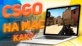 КАК УСТАНОВИТЬ CSGO НА MAC?