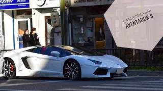 【爆音スタートダッシュ!!!】ランボルギーニのV12サウンド / Lamborghini Aventador's sounds