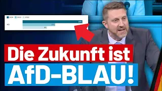 Unsere Jugend will eine Zukunft und kein buntes Kasperletheater! Dirk Brandes - AfD-Fraktion im BT