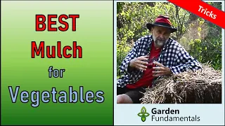 Best Mulch for Vegetable Gardens - And How To Apply It Correctly.