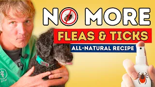 Best Ever Natural Flea and Tick Spray for Dogs and Cats