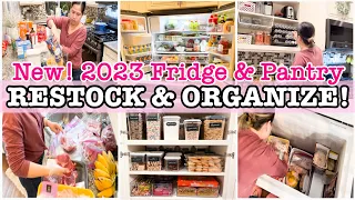 NEW! FRIDGE RESTOCK + PANTRY ORGANIZATION | KITCHEN CLEANING & ORGANIZING | CLEAN AND ORGANIZE