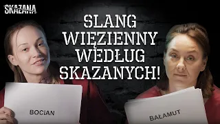 "Idziesz k***a siedzieć!" Więzienny slang z osadzonymi | Skazana