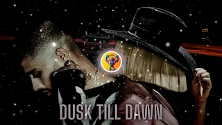 (Sin copyright) ZAYN ft. Sia - Dusk Till Dawn