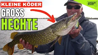 Kleine Köder, große Hechte? | Hechtangeln im Herbst | Crankbait Angeln in Holland | Anglerboard TV