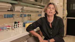 Presentazione del Corso di Laurea Magistrale in Biotecnologie - Prof. Laura Cipolla