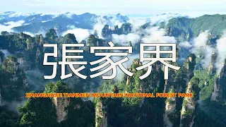 Zhangjiajie Tianmen Mountain National Forest Park